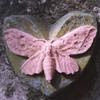 cllaygaha